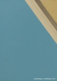 泰州市百代装饰工程 专业涂料解决方案与装饰工程服务